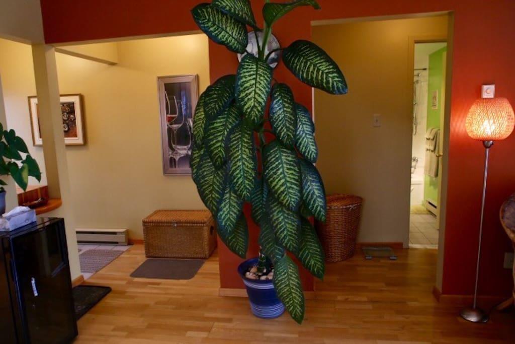 Magog Lovely Vacation Home 外观 照片